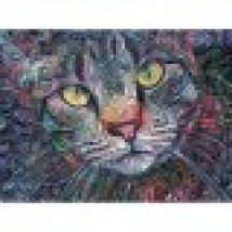 Psychedelic Kitty Cat