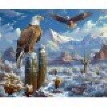 Eagle Paradise