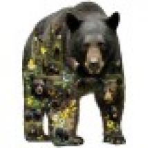XXL Pieces - Greg Giordano - Forest Bear