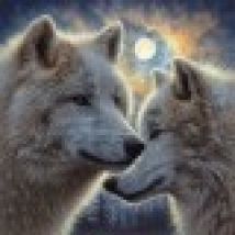 Moonlight Mates