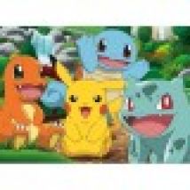 Pokemon at the Park