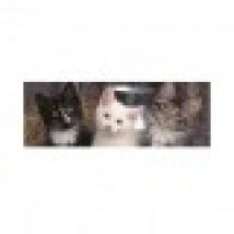 XXL Pieces - Puzzle Panoramic - Three Kittens