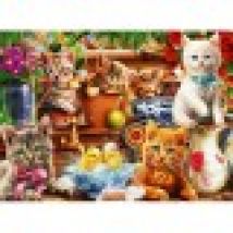Kittens in the Potting Shed