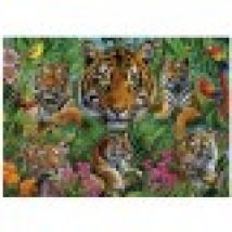 Tiger Jungle