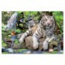 Jigsaw Puzzle - 1000 Pieces - White Bengale Tigers