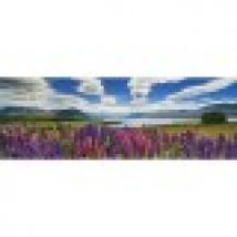 Edition Alexander Von Humboldt - Panoramic Puzzle - Lake Tekapo