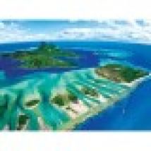 Save the Planet Collection - Coral Reef