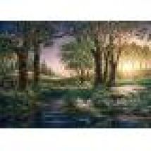 Morning Magic at the Pond