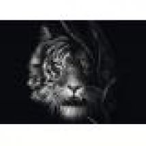 Wilderness - Tiger : In the Sign of Freedom