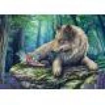 The Fairy and her Wolf