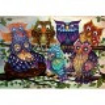 Colourful Owls