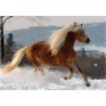 Jigsaw Puzzle - 239 Pieces - Horses Magic : Haflinger II