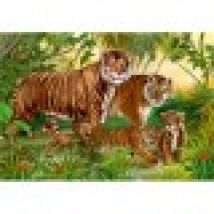 Wild Animals - Tigers