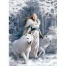 Anne Stokes - Winter guardians