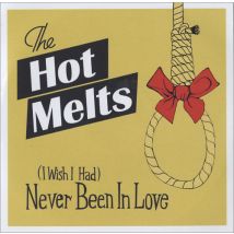 The Hot Melts (I Wish I Had) Never Been In Love 2008 UK CD-R acetate CD-R ACETATE