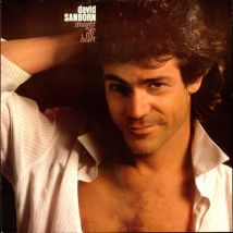 David Sanborn Straight To The Heart 1984 German vinyl LP 925150-1