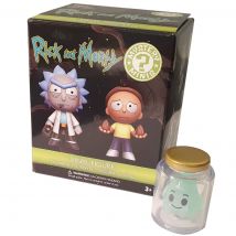 Funko Mystery Mini Rick and Morty Series 1 One Mystery Action Figure