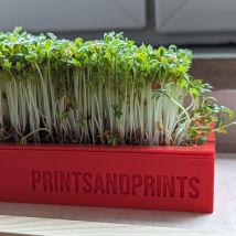 Microgreens Starter Kit