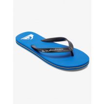 Quiksilver Molokai Core - Infradito da Uomo - Blue
