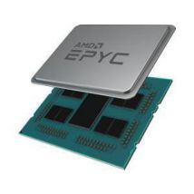 AMD EPYC ROME 7302, 16 Core 32 Threads, 3.0GHz, 128MB Cache, 155Watts.