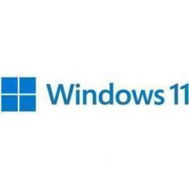 Windows 11 Pro 64Bit English DVD - OEM