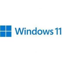 Microsoft Windows 11 Professional for Workstations, 64-bit English DVD, OEM
