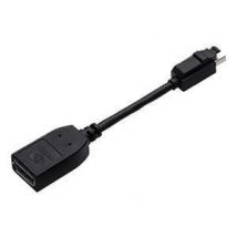 PNY Mini DisplayPort to DisplayPort Adapter