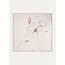 Loro Piana - Loro Piana La Linea Del Fiore Di Lino Fld90 Se Tw, Woman, White/Sanguine Pencil, Size: NR