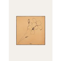 Loro Piana - Loro Piana La Linea Del Fiore Di Lino Fld45 Se Tw, Woman, Golden Brown/Dark Chocolate, Size: NR