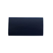 Blue Sulpie handrail