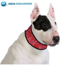 Aqua Coolkeeper Collare Refrigerante per cane