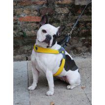 Coralpina Pettorina Cinquetorri Softy Line