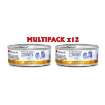 Disugual Struvite Tacchino 85g umido dietetico gatto Formato 12 x 85g
