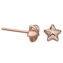 Little Star Amelia Rose Gold Star Earrings