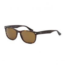 Ray-Ban Polarised Classic Brown