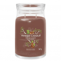 Yankee Candle - Praline &amp; Birch (567g)