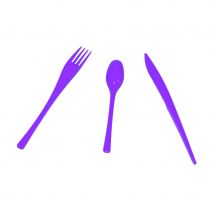 Boite de 30 couverts en plastique (LILAS)
