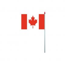 Drapeau de 40x50 sur hampe (CHILI)