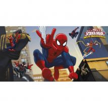 Déco Spiderman pour anniversaire (Décor mural)