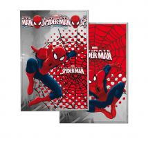 Décos Spiderman pour anniversaire (10 sacs cadeaux)