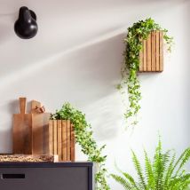 Pot intelligent à arrosage intuitif - Bois - Cadeau Homme - Cadeau Femme - Cadeau Papa - Cadeau Maman - Cadeau Crémaillère - Squarely - Les Raffineurs