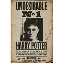 Poster Harry Potter Undesirable No 1