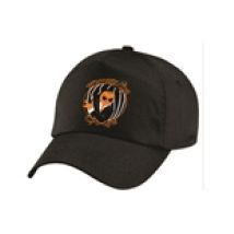 Casquette de baseball PumpKins Cage 114259