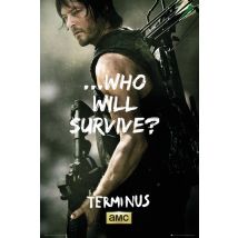 Poster Walking Dead Daryl Survive