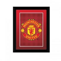 Stampa Manchester United 20 x 15 cm