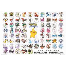 Poster Pokémon 127079