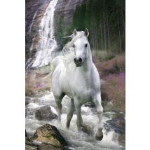 Poster Bob Langrish  128790