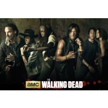 Poster The Walking Dead 129584