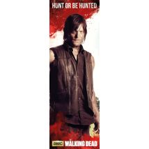Poster The Walking Dead Daryl Door