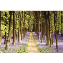 Poster Paysages 137119